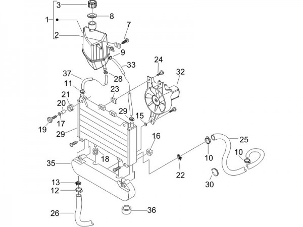 Fahrgestell Kühler - Piaggio Beverly 250ccm 4T LC 2006- ZAPM28800