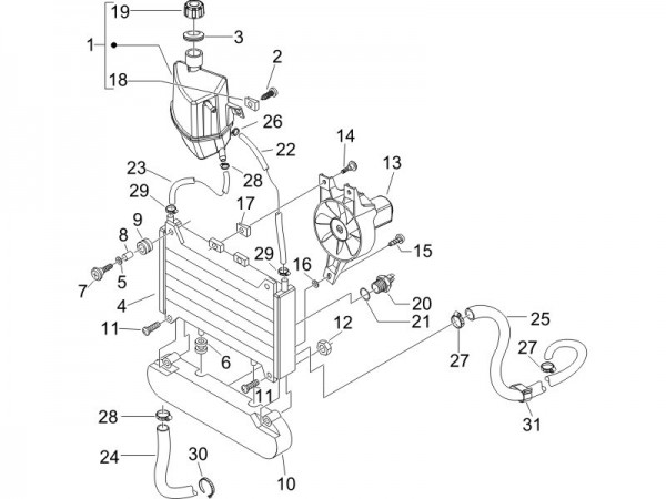 Fahrgestell Kühler - Piaggio Beverly 125ccm 4T LC 2007- ZAPM28900