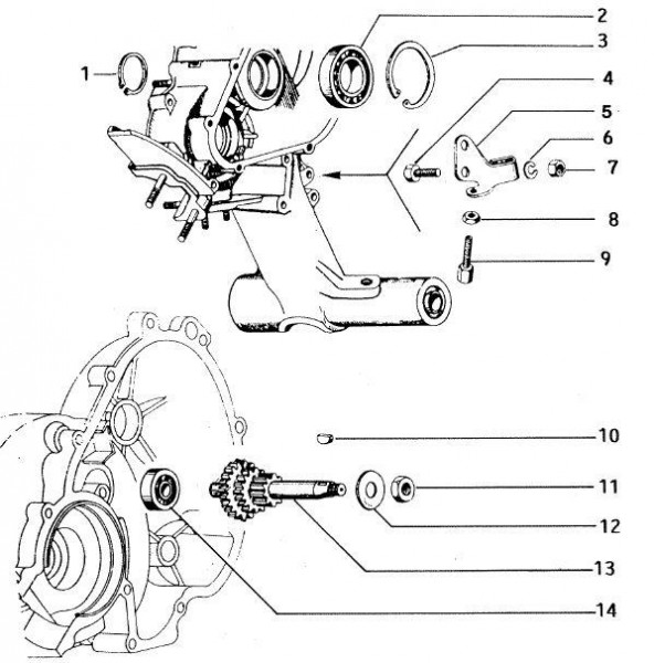 Motor Vorgelegezahnrad - Vespa Vespa 50 50ccm 2T AC - V5N1T